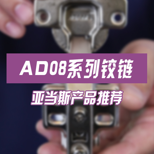 AD08 Series Hinges