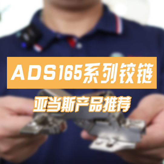 ADS165 series hinges